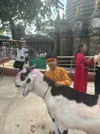 Jai Mata di Maa kamakhya temple, Balaji temple, mahamritunjay shivling ( worlds largest shivling)