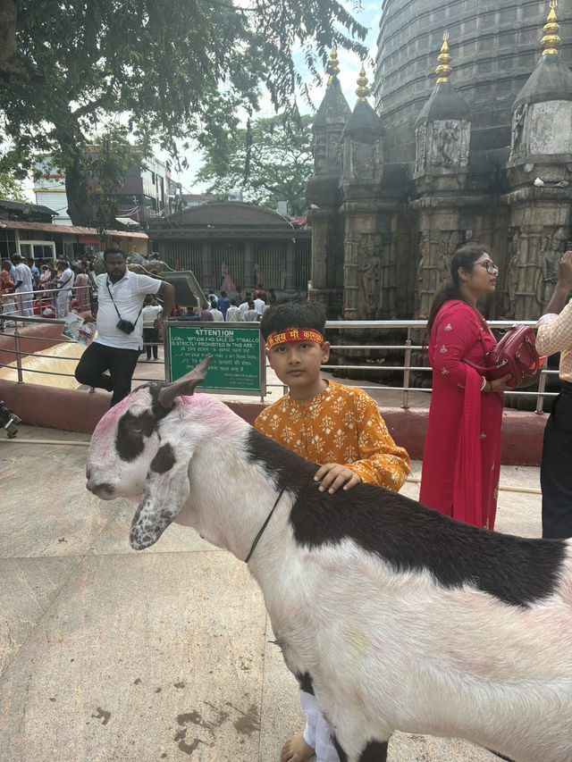 Jai Mata di Maa kamakhya temple, Balaji temple, mahamritunjay shivling ( worlds largest shivling)