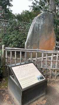 🌸【雨中偕樂園．櫻花靜賞漫旅】探訪日本三大名園之一｜水戶最值得造訪的春日秘境
