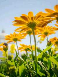 New York Botanical Garden – A Living Museum in the Bronx