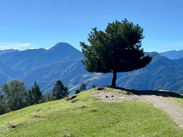 🐏在雲端與羊咩咩相遇！清境農場賞景、看秀、吃在地🍃 