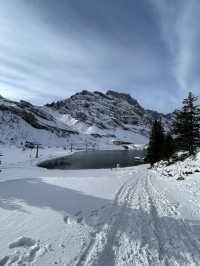 Here’s a vivid snapshot of a **magical moment at Mount Titlis**, blending awe, adventure, and alpine