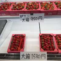 無料で楽しめるバラ園やアスレチック！