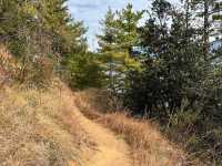 A Hike to Remember in Thimphu -Kuenselphodrang National Park