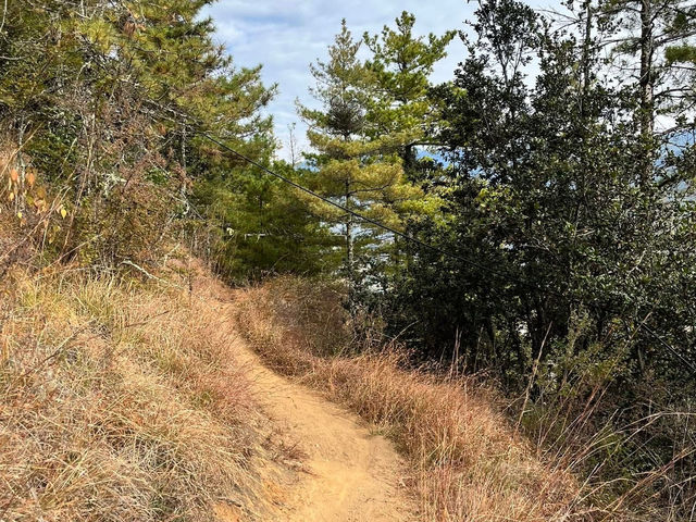 A Hike to Remember in Thimphu -Kuenselphodrang National Park