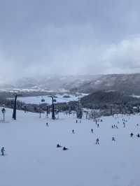 日本白馬真是一個很適合滑雪和看雪的地方🏂❄️❄️