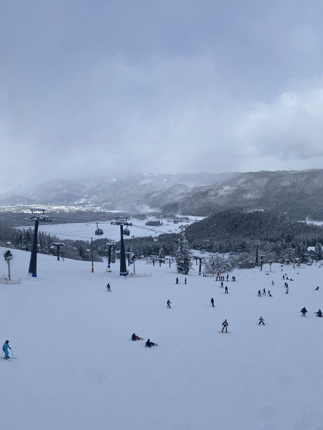 日本白馬真是一個很適合滑雪和看雪的地方🏂❄️❄️