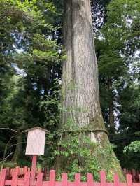 【箱根】三社参りのすすめ