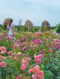 大阪 ︎❤︎2,400株が咲き誇る🌹🌹🌹260円で見れる絶景〜♡ 