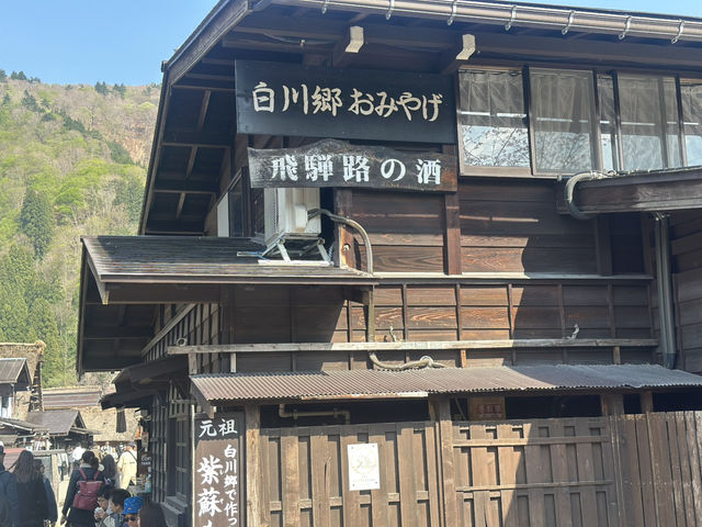 🏞️ 春の息吹に包まれる世界遺産：白川郷合掌造り集落 🌸🏯