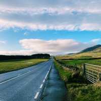 🏴󠁧󠁢󠁳󠁣󠁴󠁿 エディンバラ郊外の森を抜けて…🌲🐑
