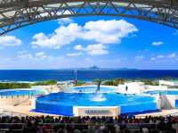 沖繩🇯🇵 美麗海水族館周邊一日遊