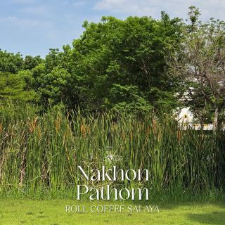 位於 Salaya 地區設計精美的河畔咖啡館 #Nakhon Pathom ☕️🍪🍃