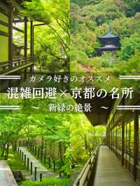 【行く前にこれ見て】瑞々しい翠の世界で心洗われる青もみじの絶景🌿※周辺観光情報付き