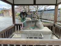 京都旅行　嵐山公園
