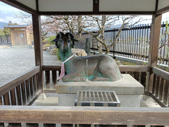 京都旅行　嵐山公園