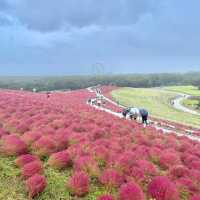車乗らない人はバスツアーへGO!