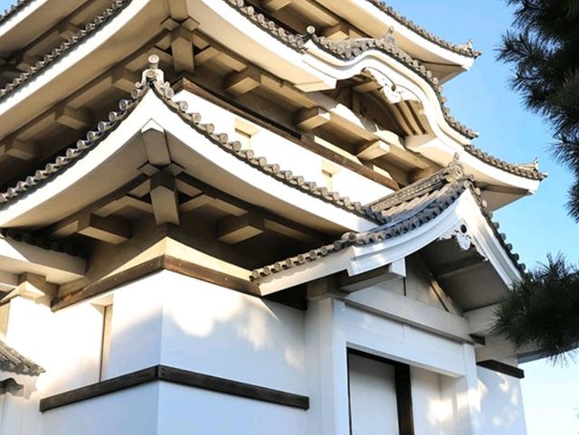 【🇯🇵高松】朝の静寂に包まれた玉藻公園で心穏やかなひとときを