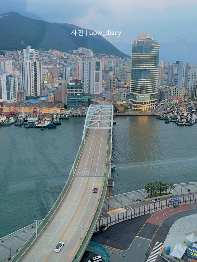 여름에 시원하게 영도어때! 🌊🦀🐳🌅🚢🦑