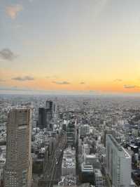 🌸 Tokyo in Full Bloom: My Unforgettable Sakura Season Adventure 🇯🇵