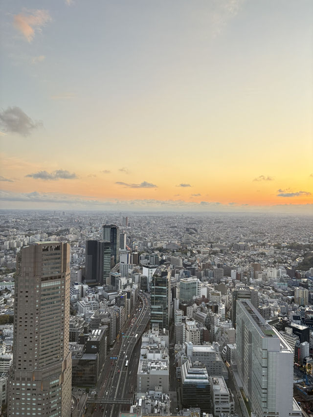 🌸 Tokyo in Full Bloom: My Unforgettable Sakura Season Adventure 🇯🇵