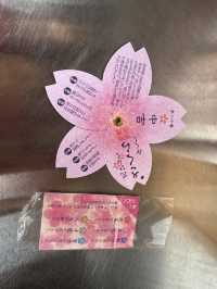 🌸【枝垂櫻與靜心古寺的邂逅】春日私藏景點：水戶大師六地藏寺一日小旅行