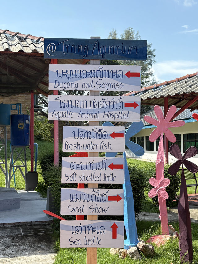 พิพิธภัณฑ์สัตว์น้ำราชมงคลตรัง - ตรัง 🐠
