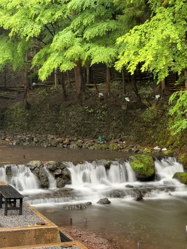 京都｜到貴船神社抽水籤 春有綠意秋楓紅 感受京都絕美詩意
