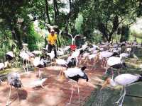 A Relaxing & Memorable 4-Day Escape in Kuala Lumpur for Expecting Parents