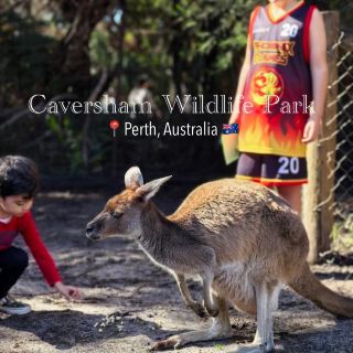 Perth | The Most Fun Activity at Caversham Wildlife Park