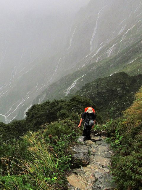 Milford Track (New Zealand)