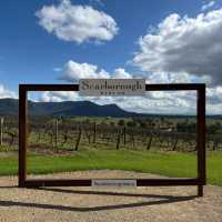 Hunter Valley 2-Day Trip from Sydney 🍷🐑