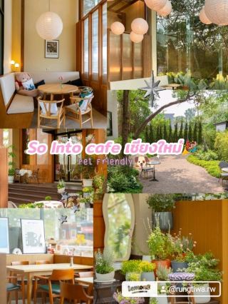 So Into Cafe in Chiang Mai