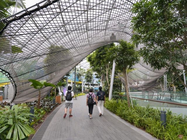 不可錯過的樟宜機場