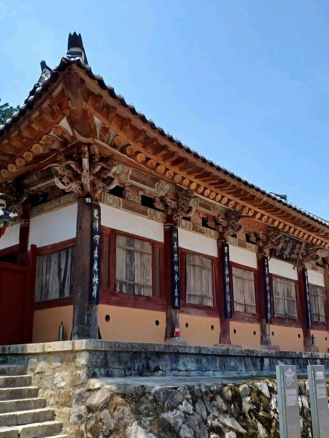 목조 건축미에 빠지다 🪵