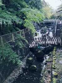 【東京都北区赤羽の自然と清い滝・文化の融合したローカル遊歩道】