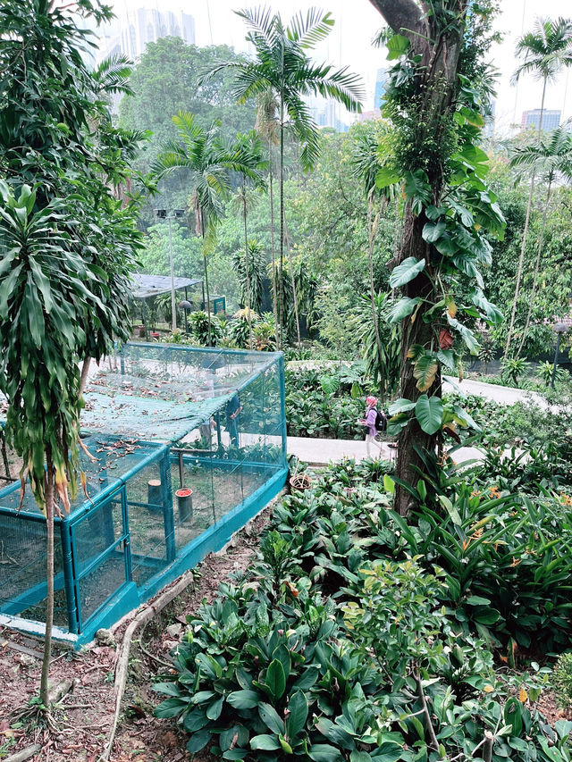 Hornbill Restaurant & Café: A Unique Dining Experience Amid Nature at KL Bird Park