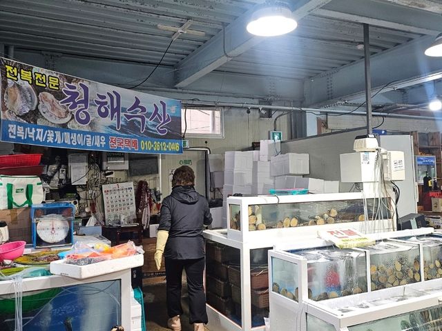 진도로 떠나는 여행