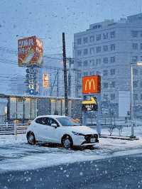 โอซาก้า🇯🇵❄️