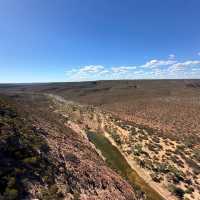 Western Australia Road Trip: Kalbarri National Park🏞️🇦🇺