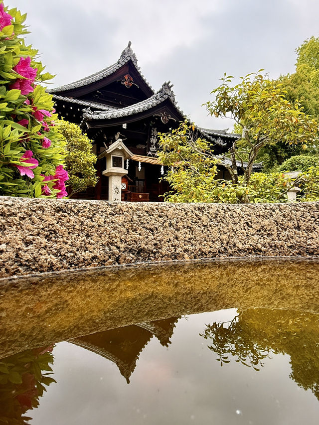 松山｜沒有湯婆婆的湯神社 與甜點職人必拜的中嶋神社