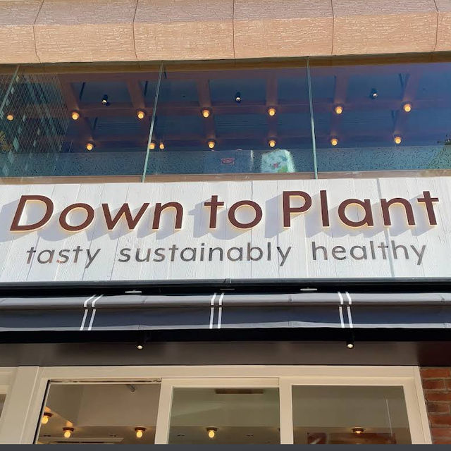 【東京/六本木🇯🇵】身体と地球に優しい食事🌎Down to Plant