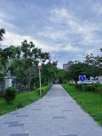 🌿桃園中壢散步秘境｜老街溪自行車道，綠蔭樹下的城市靜旅