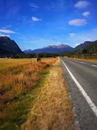 Down South to NZ