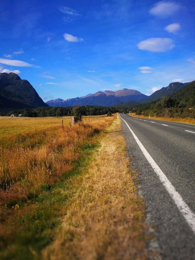 Down South to NZ
