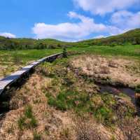 Korea's First Ramsar Wetland