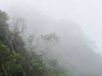 自然と歴史が織りなす美しい景色 🌿⛰️ プー・ヒン・ロン・クラで心を癒す旅を。  