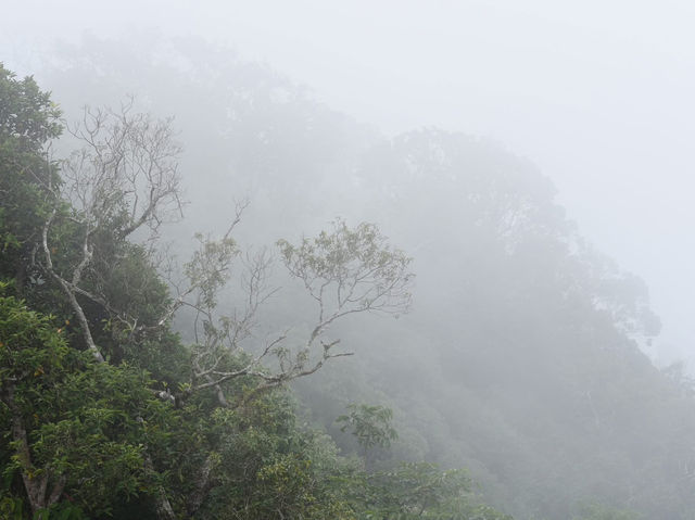 自然と歴史が織りなす美しい景色 🌿⛰️ プー・ヒン・ロン・クラで心を癒す旅を。  