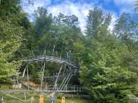 Roller Coaster of Fun!