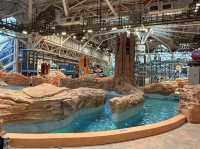 Year-Round Aquatic Fun Under One Roof 